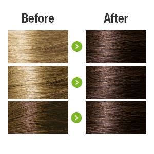 Dark Coffee Brown 3.0 Hair Colour with Natural Ingredients base Naturigin 