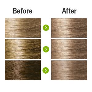 Light Ash Blonde 8.1 Hair Colour with Natural Ingredients base Naturigin 