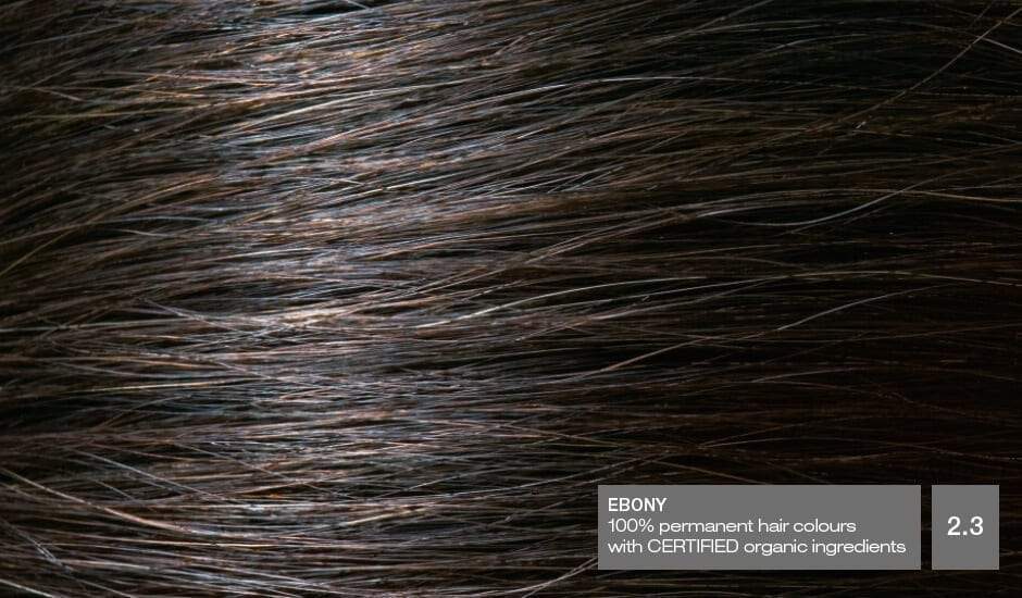 Ebony 2.3 Hair Colour with Natural Ingredients base Naturigin 