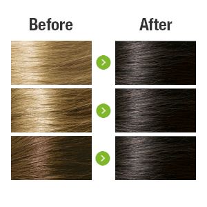 Ebony 2.3 Hair Colour with Natural Ingredients base Naturigin 